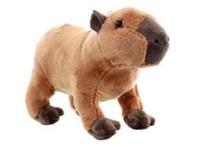 Obrázek z Kapybara plyš 21cm (6) 
